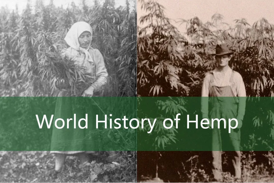 El historial de desarrollo del cáñamo y el uso de productos. 2 World History of Hemp