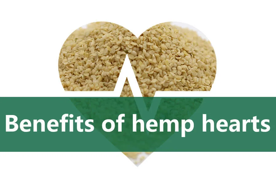 ¡Los 4 beneficios más importantes de los corazones de cáñamo! 7 benefits of hemp hearts