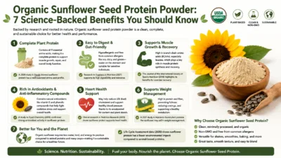 Proteína de semilla de girasol ecológica en polvo: 7 beneficios respaldados por la ciencia que conviene conocer